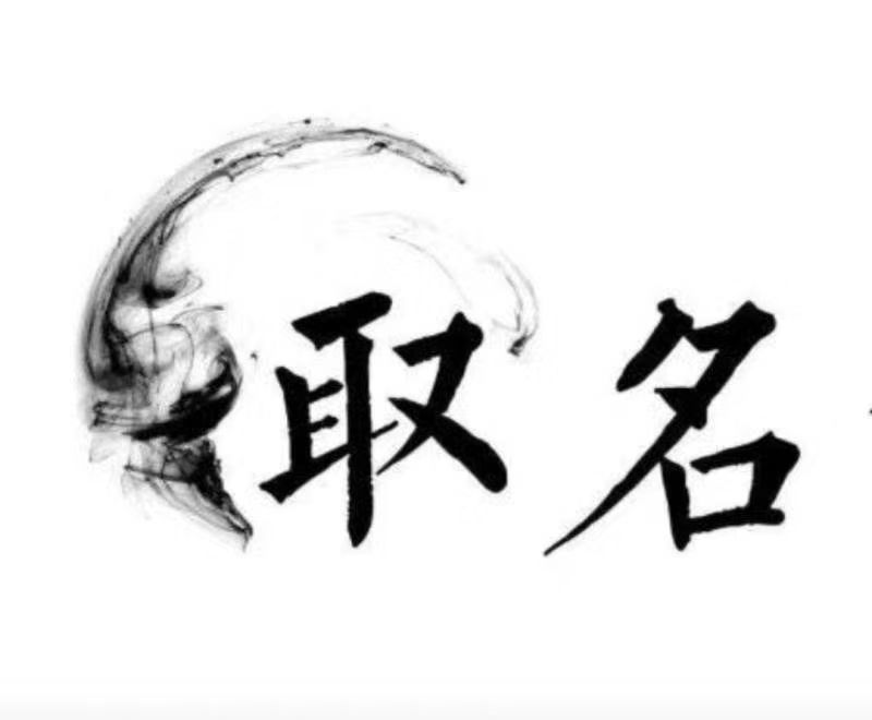 来宾宝宝取名 大师一对一人工起名