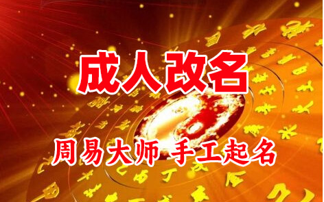 来宾成人改名-找大师一对一改名先分析后改名